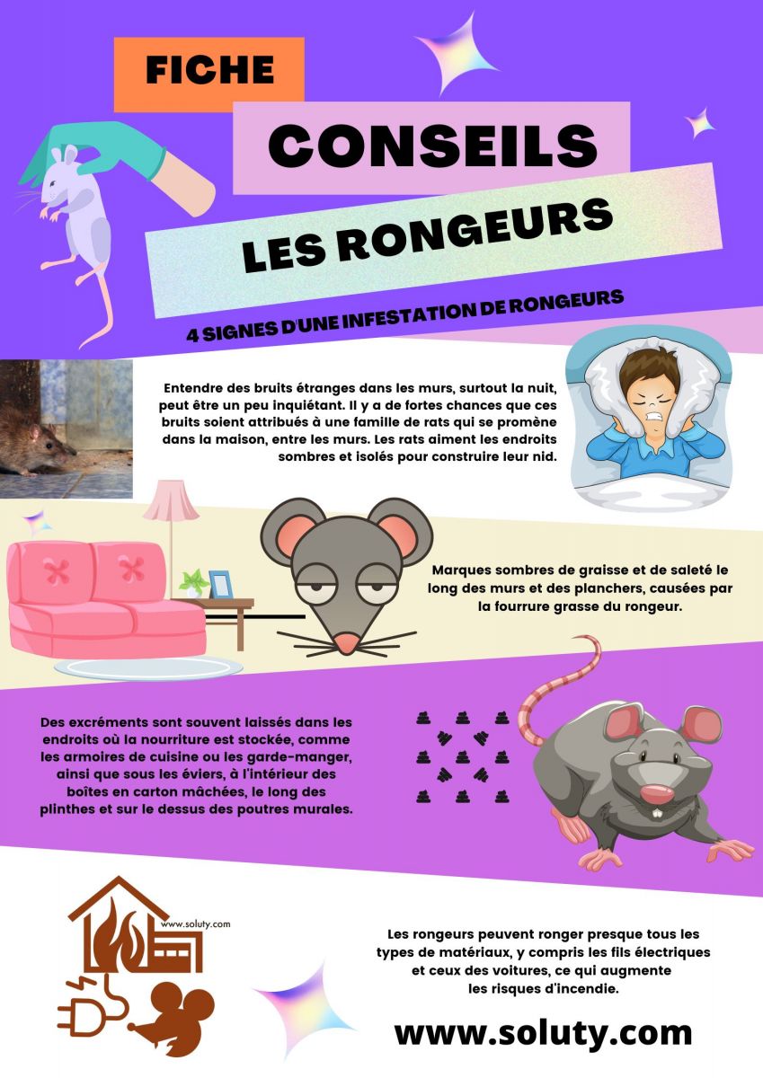 Quels sont les signes d'une infestation de rongeurs chez vous ?