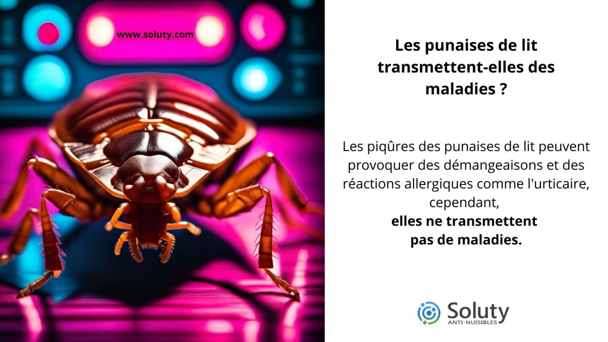 Les punaises de lit transmettent-elles des maladies ,