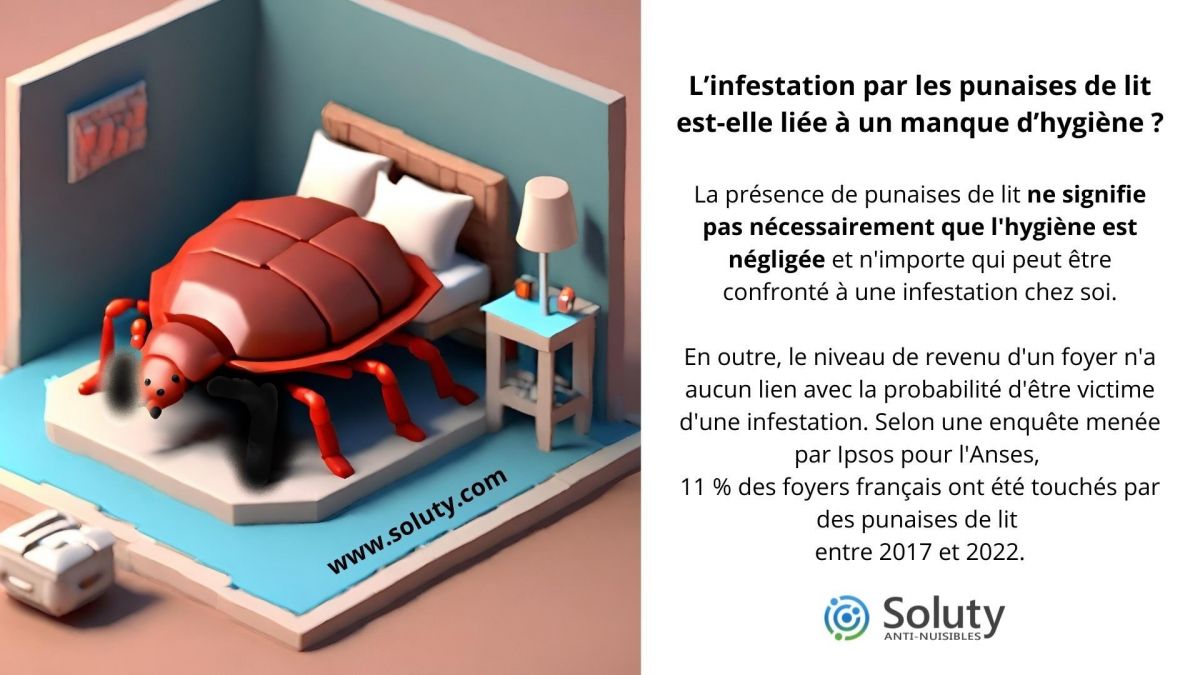 L’infestation par les punaises de lit est-elle liée à un manque d’hygiène ?