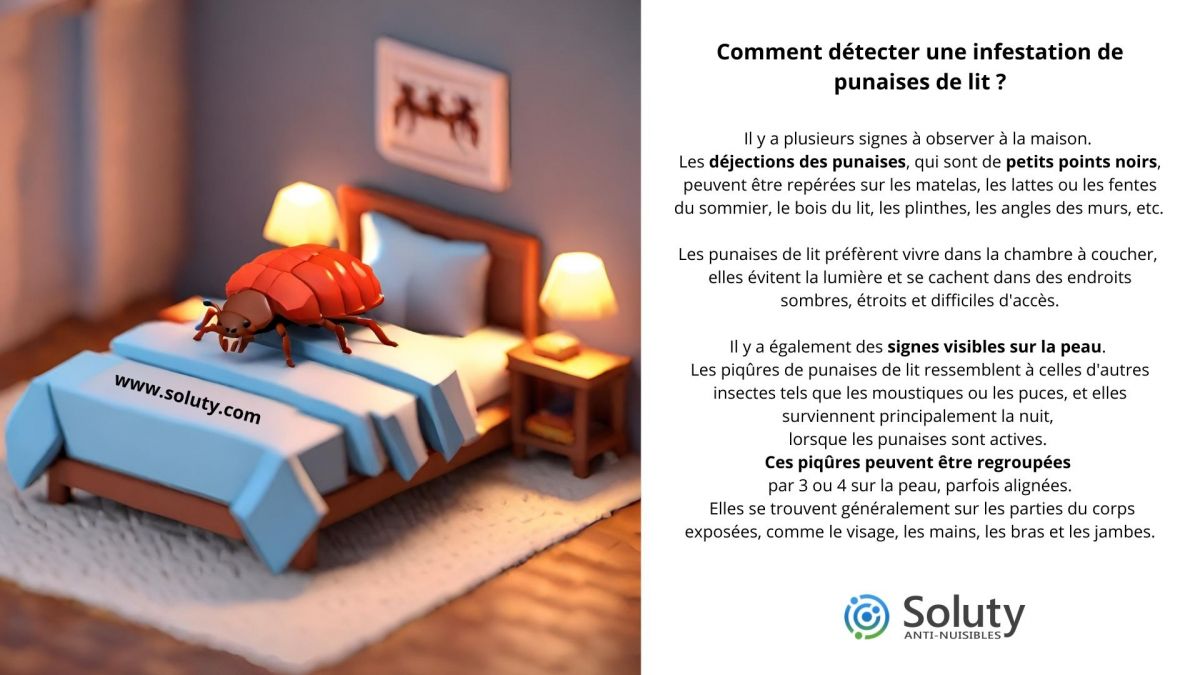 Comment détecter une infestation de punaises de lit  ?