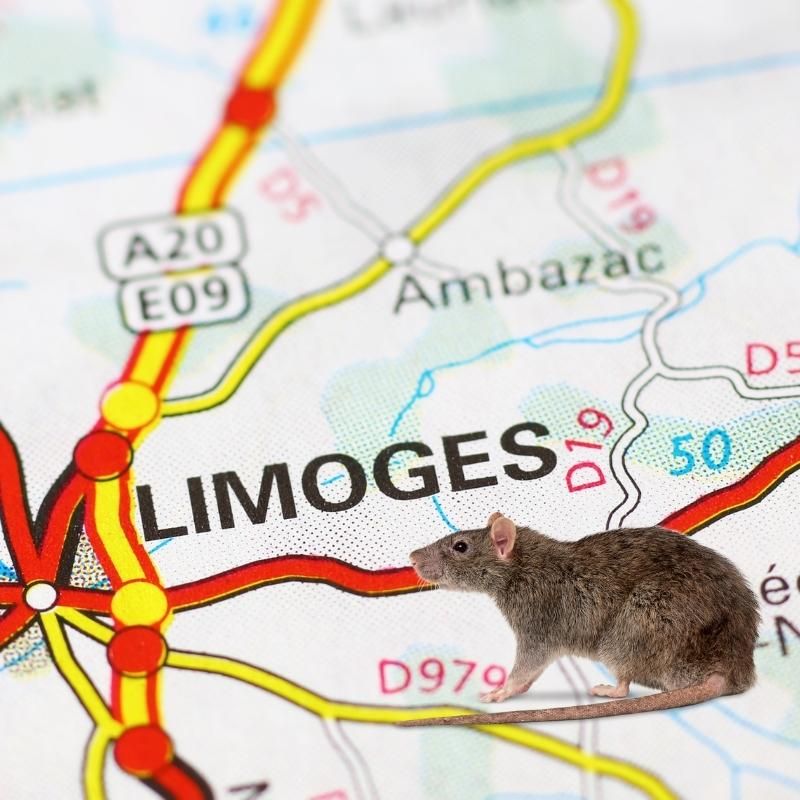 carte de limoges et un rat