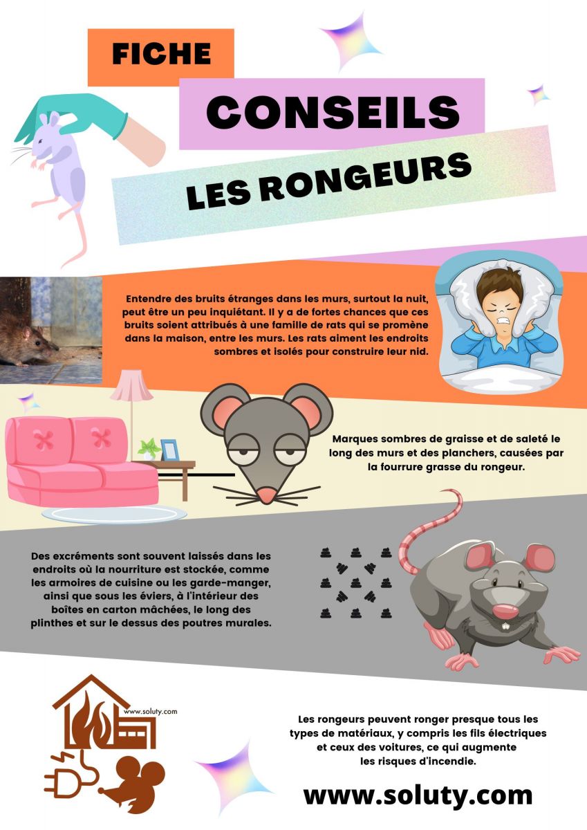 Quels sont les signes d'une infestation de rongeurs chez vous ?