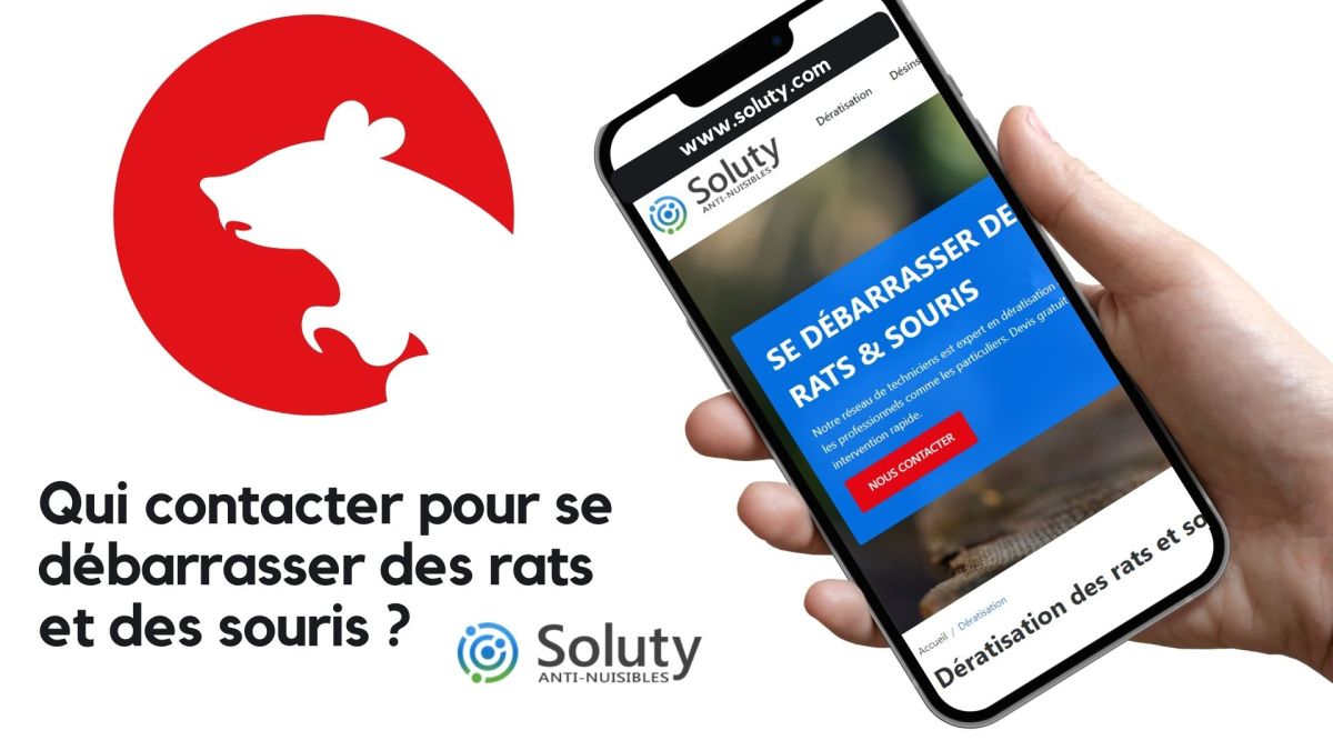 Qui appeler au Cannet pour se débarrasser des rats, souris et autres rongeurs nuisibles ?