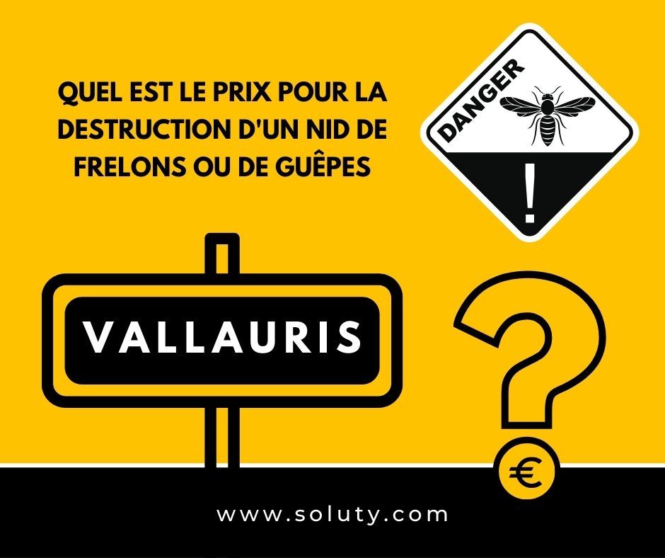 VALLAURIS quel est le prix pour la destruction d'un nid de frelons ou de guêpes ?