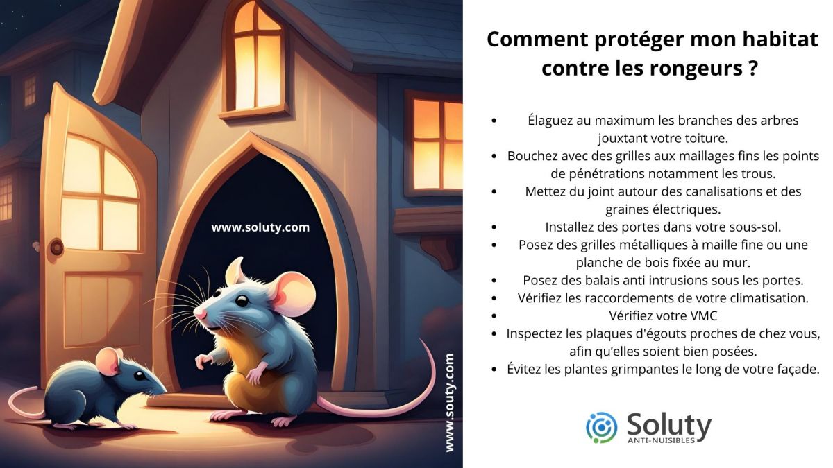  Que pouvez-vous faire pour éviter une invasion de rats, de souris ou d’un autre rongeur ?