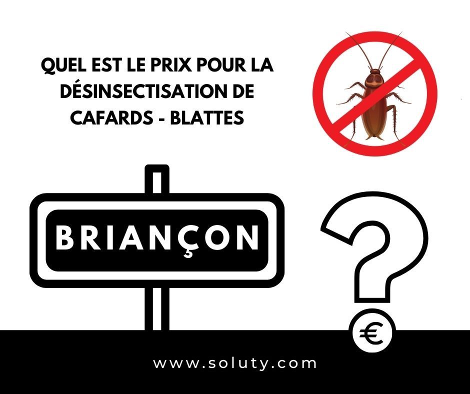 TARIFS : Devis gratuit pour exterminer une infestation de blattes ou de cafards à Briançon