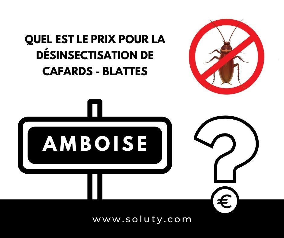 Devis gratuit pour un traitement curatif contre les cafards à Amboise