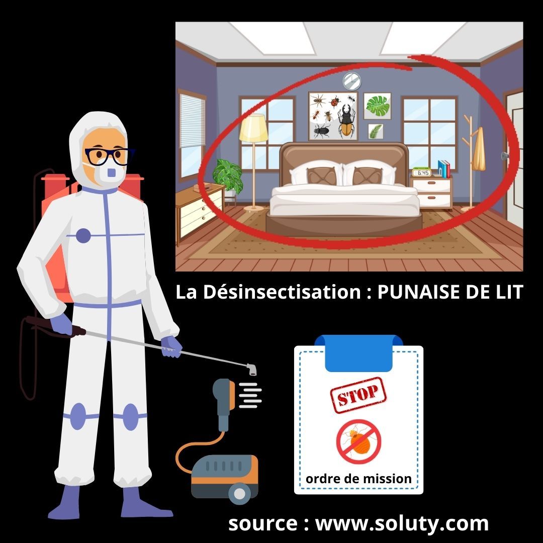 Notre désinsectiseur partenaire à Amboise est formé pour vous garantir une éradication totale des punaises de lit