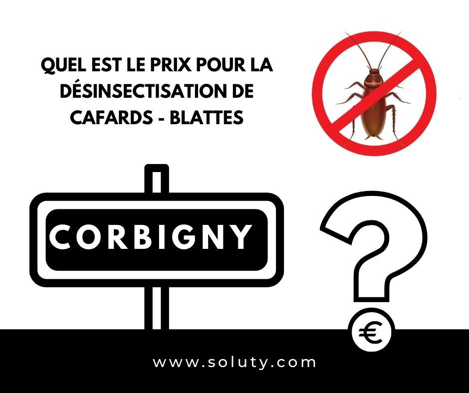 TARIFS : Faire un devis gratuit pour stopper une invasion de cafards à Corbigny