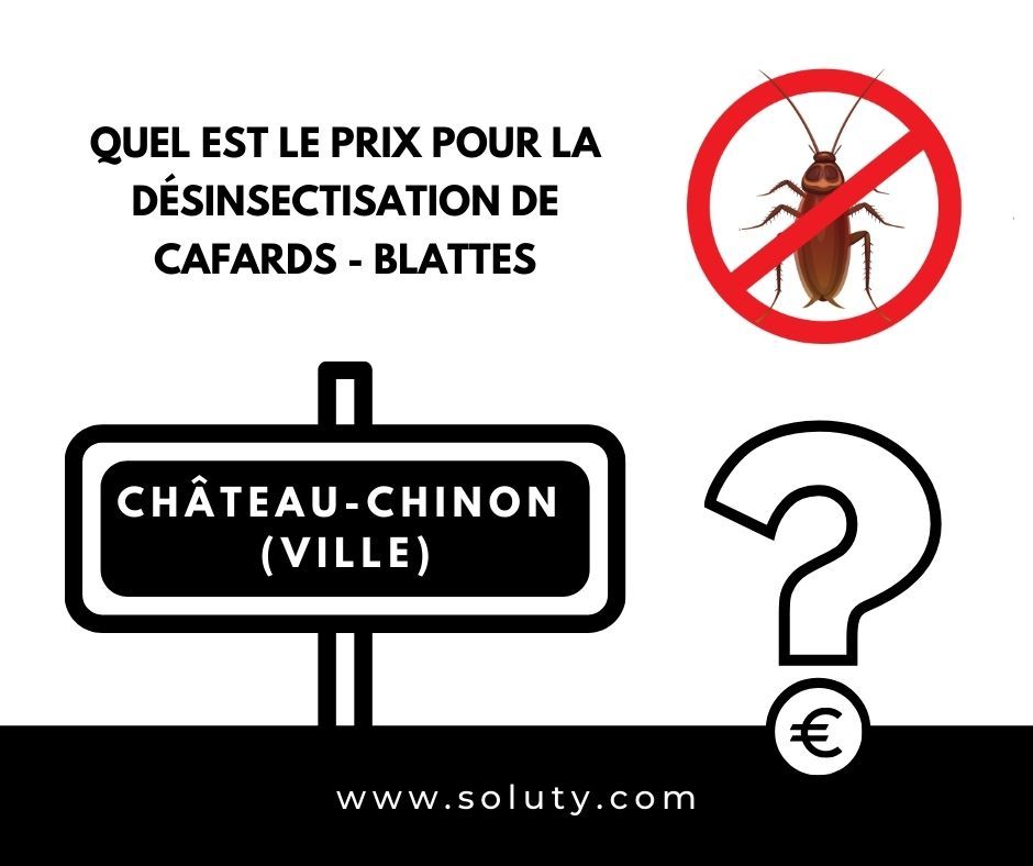 Quel est le prix pour venir à bout d’une invasion de cafards à Château-Chinon (Ville) ?