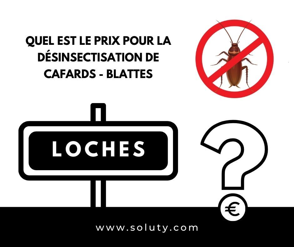 TARIFS : Quel est le coût pour traiter une invasion de cafards à Loches ?