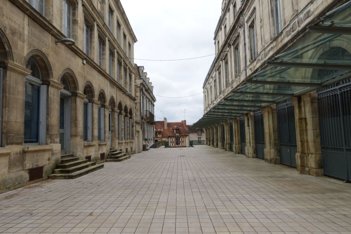 Frelon & Guêpe à Clamecy Destruction de nids SOLUTY