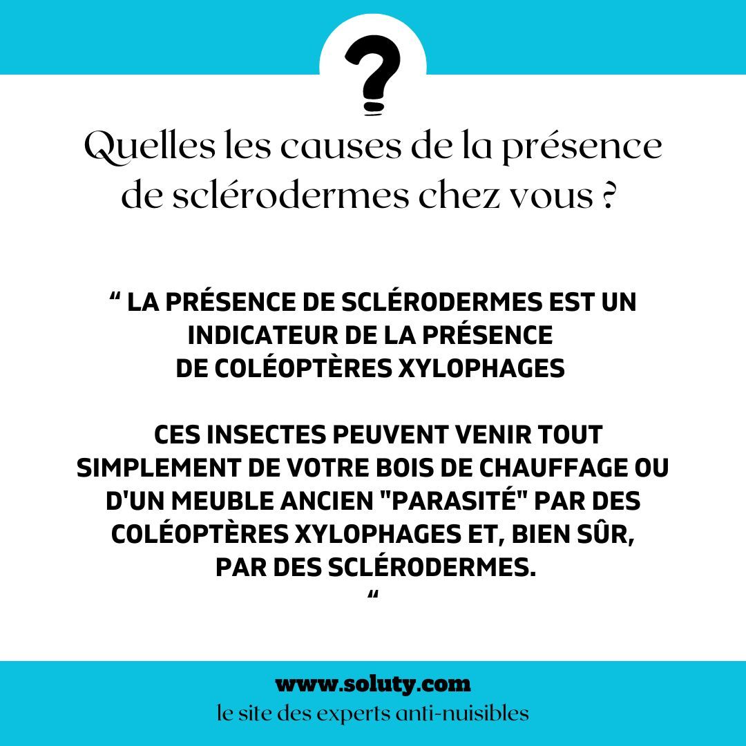 Quelles les causes de la présence de sclérodermes chez vous ? 