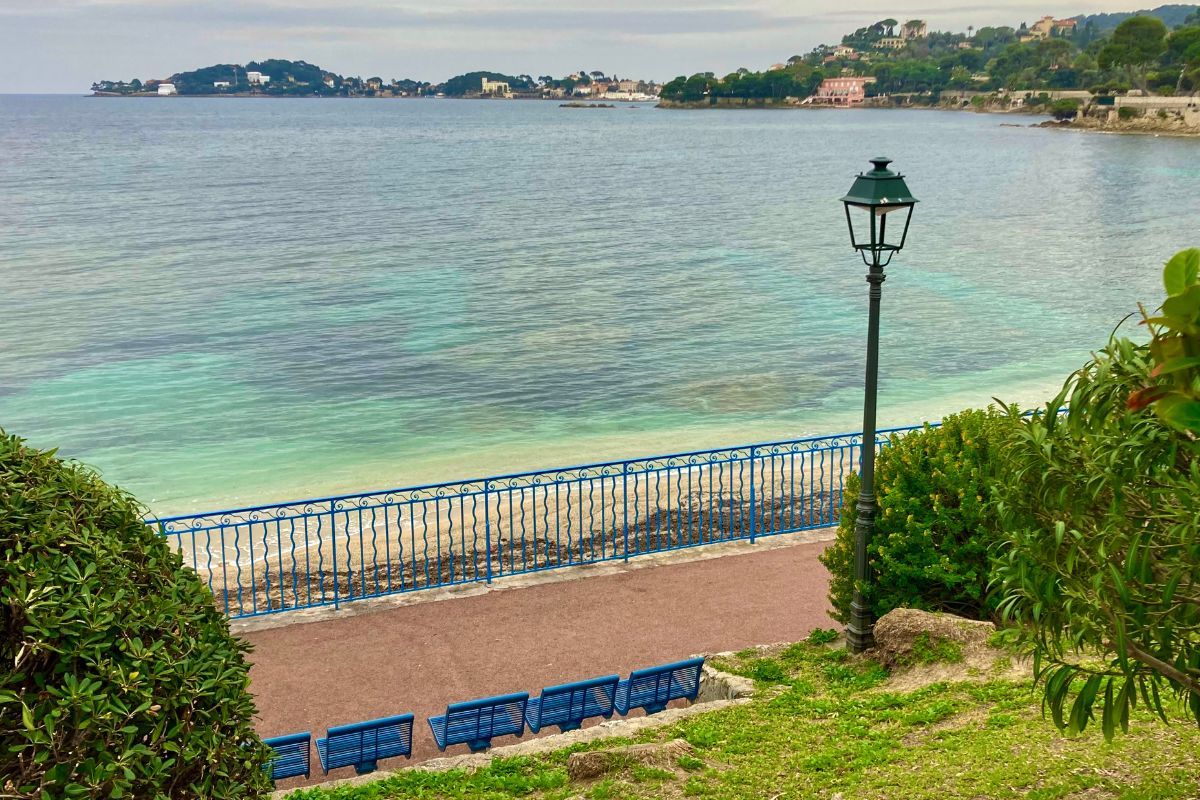 Désinsectisation à BeaulieusurMer exterminateur nuisibles SOLUTY