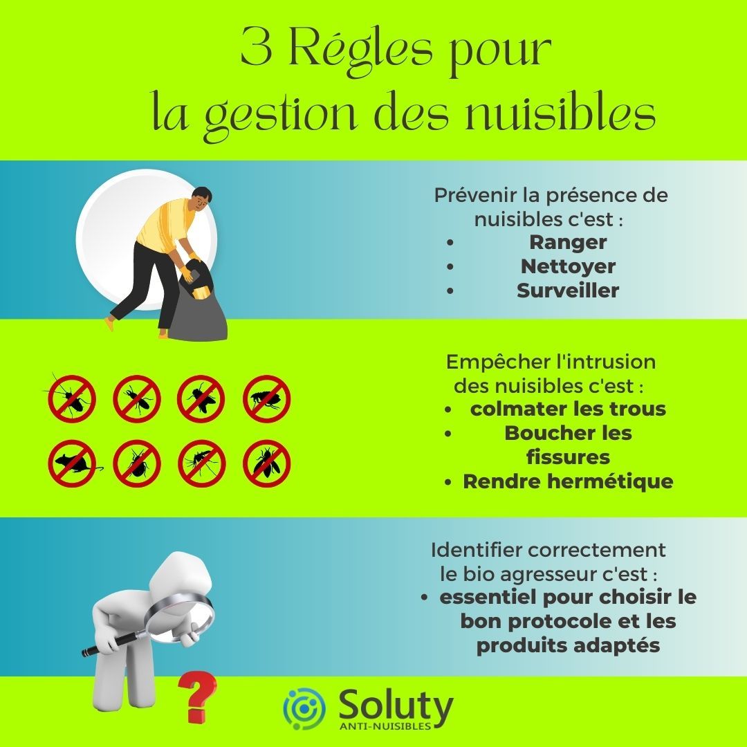 3 règles pour éviter les nuisibles 