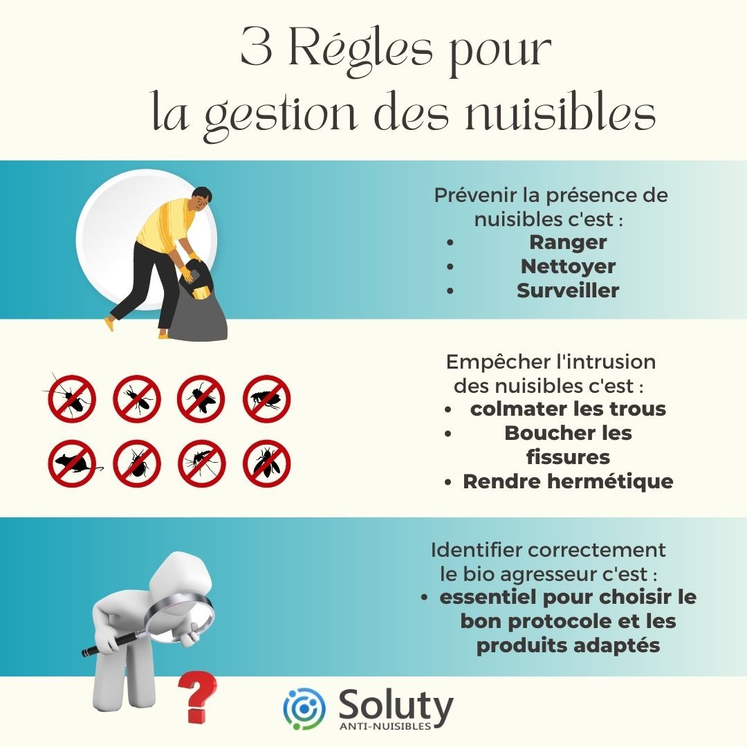 3 règles pour éviter les nuisibles 