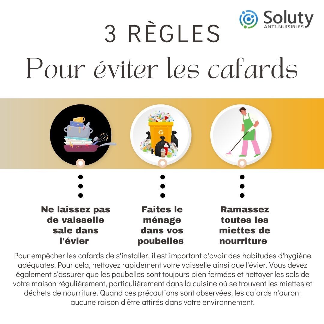 conseils pour éviter une contamination de cafards dans votre logement ou restaurant