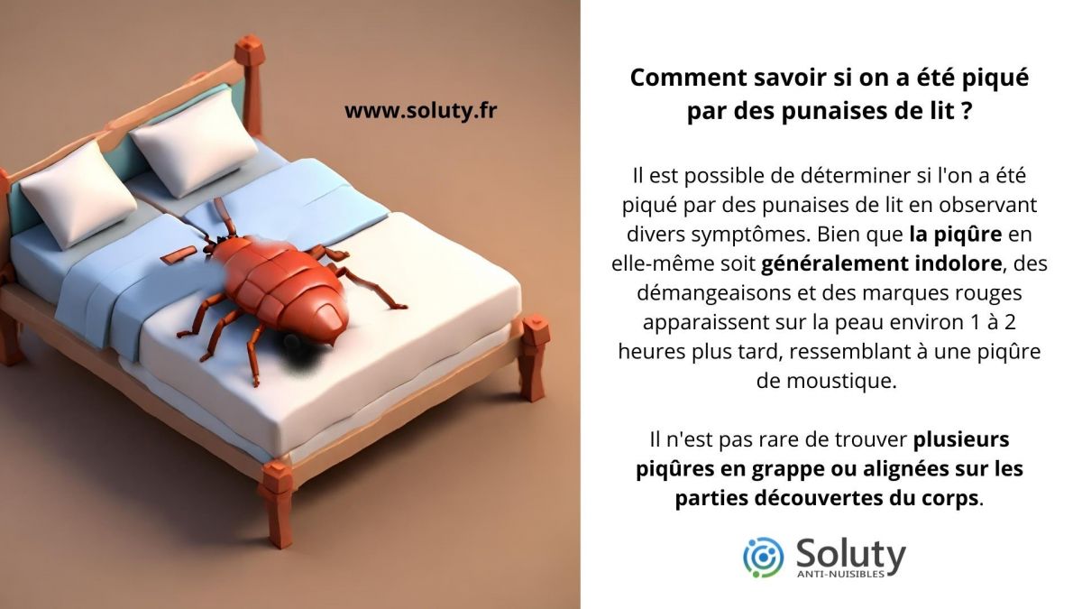 Comment savoir si on a été piqué par des punaises de lit ?