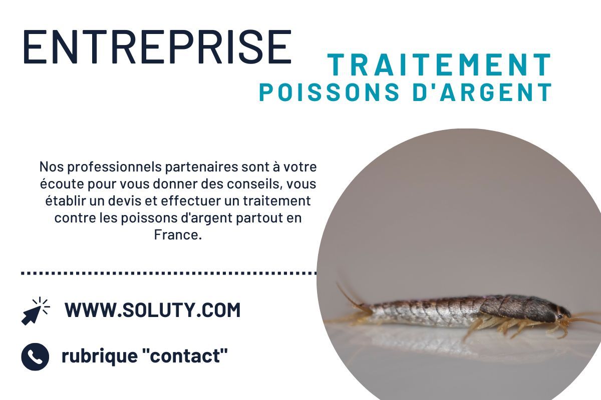 Désinsectisation et élimination des poissons d'argent à Mandelieu-la-Napoule