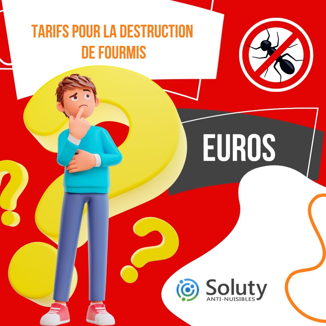 infographie sur Tarifs d'une désinsectisation anti fourmis