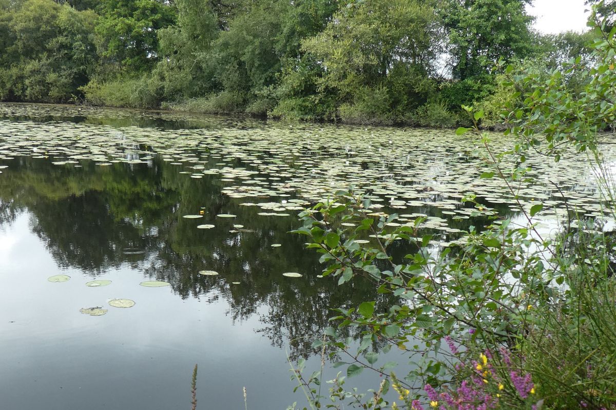 départ de l'Indre - ville d'Issoudun