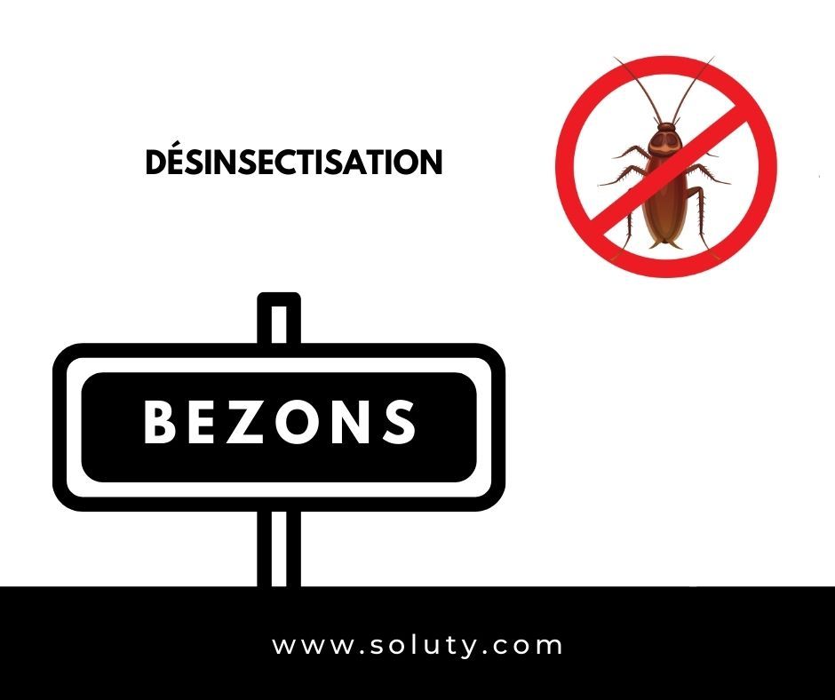 désinsectisation sur la commune de Bezons 95870