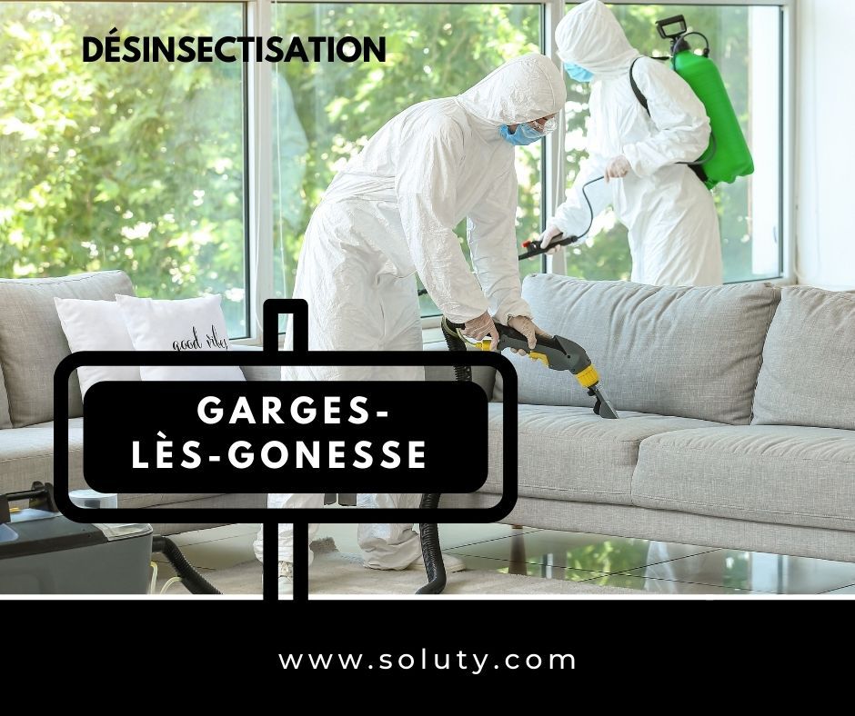 désinsectisation sur la commune  Garges-lès-Gonesse (95140)