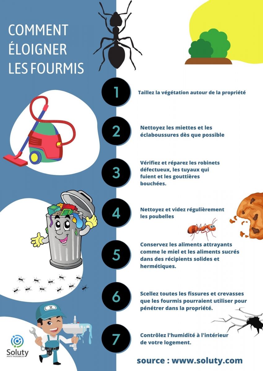 Pour prévenir et lutter contre les fourmis, il est conseillé de prendre les mesures suivantes