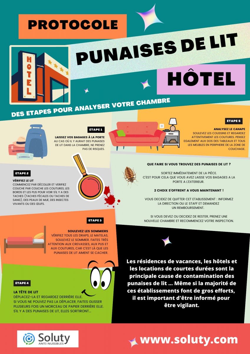 conseils contre punaises de lit dans hotel 