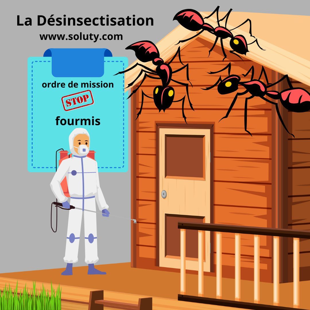 Désinsectisation et élimination des fourmis à Vernon