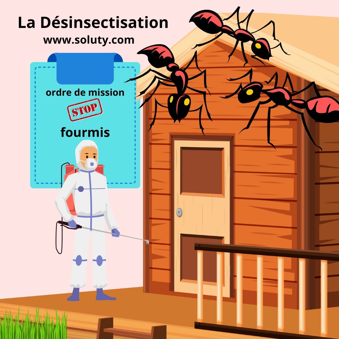 Désinsectisation et élimination des fourmis à Bar-le-Duc