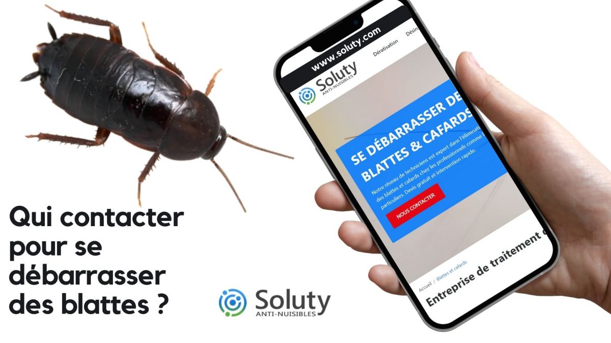 Qui appeler pour se débarrasser des blattes orientales ? 