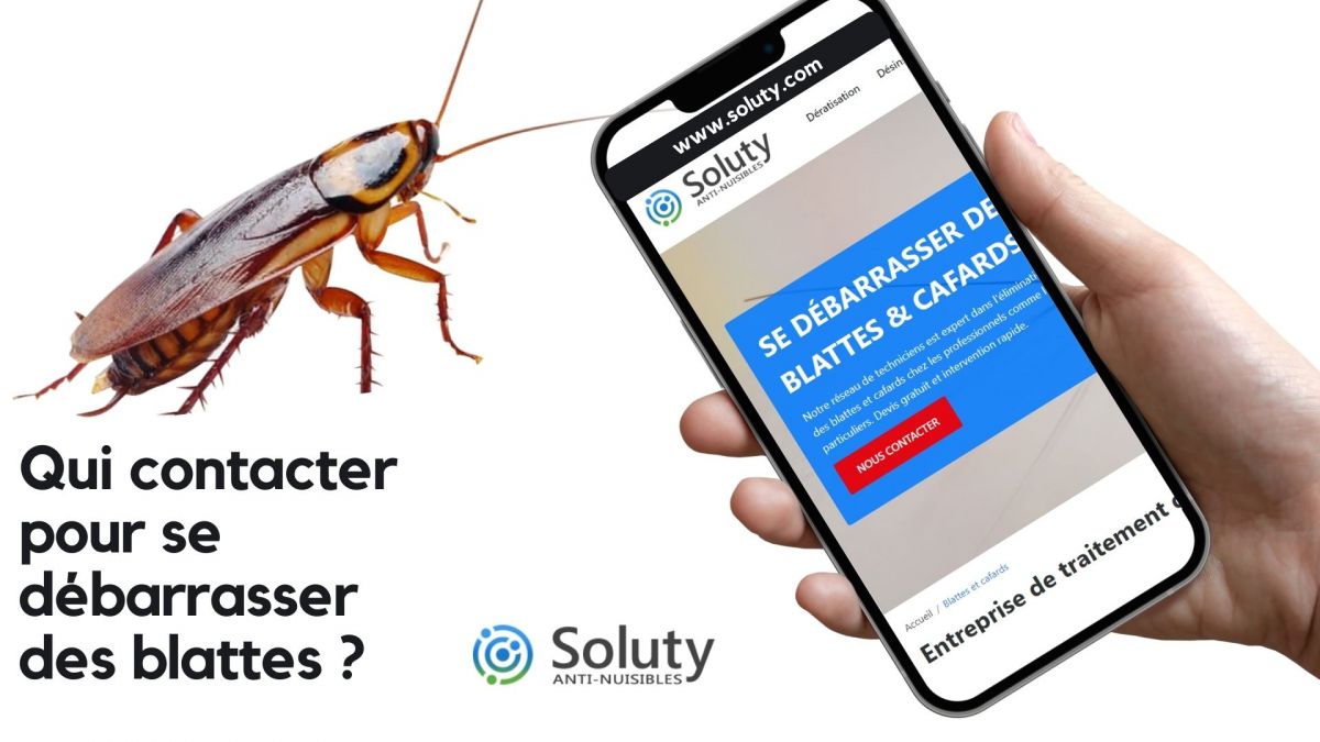 Qui appeler pour se débarrasser des blattes américaines ? 