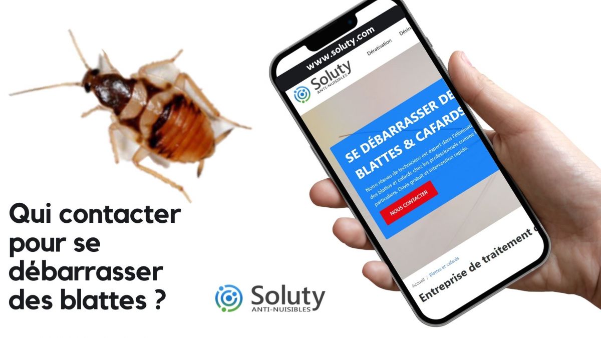Qui appeler pour se débarrasser des blattes rayées ? 