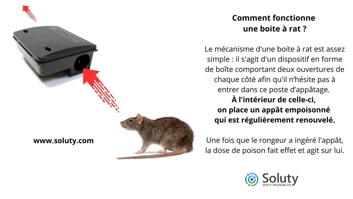 Comment fonctionne une boite à rat ?