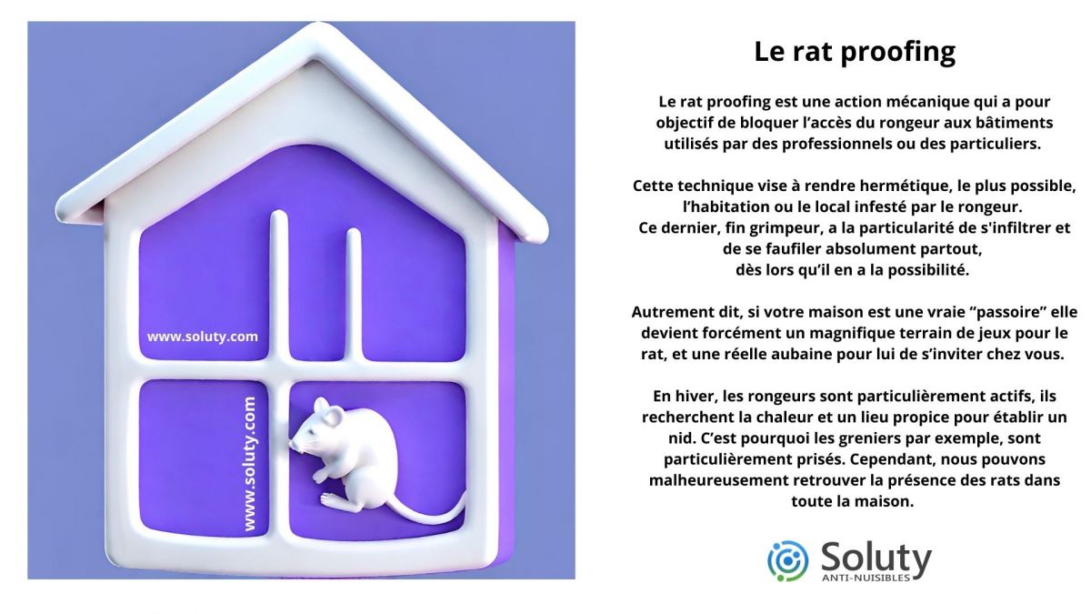 Le rat proofing 