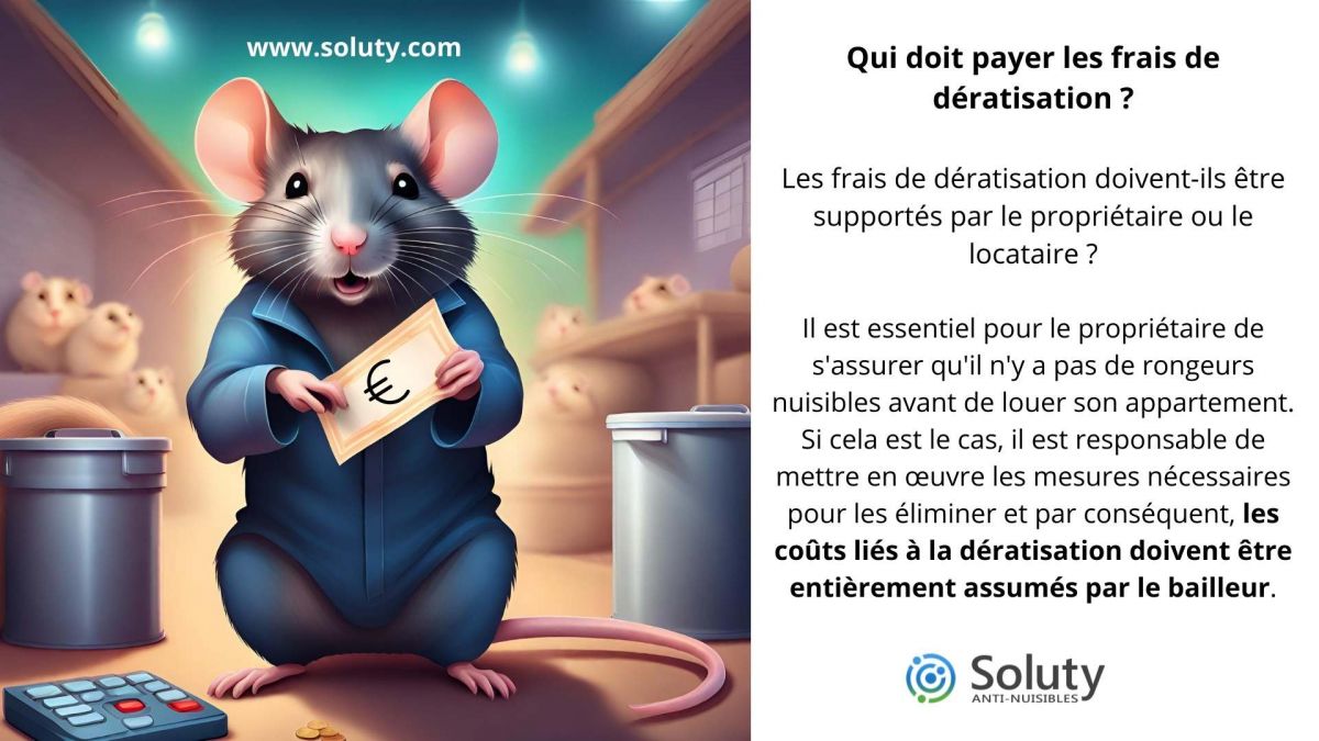 Les frais de dératisation doivent-ils être supportés par le propriétaire ou le locataire?