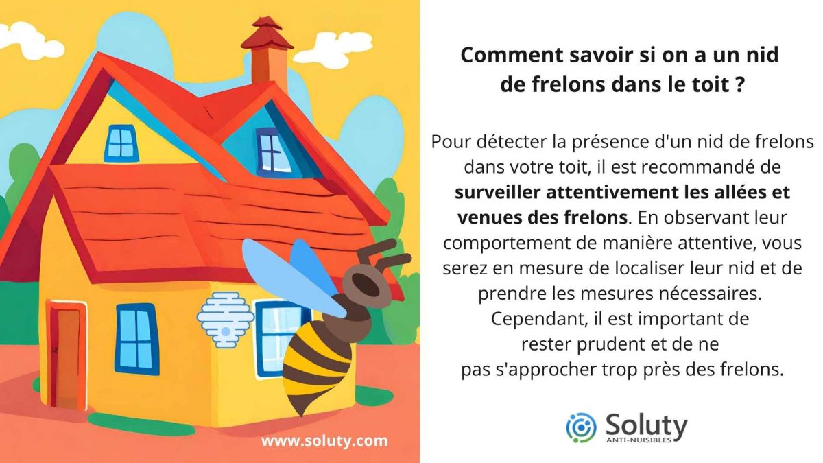 Comment savoir si on a un nid de frelons dans le toit ?