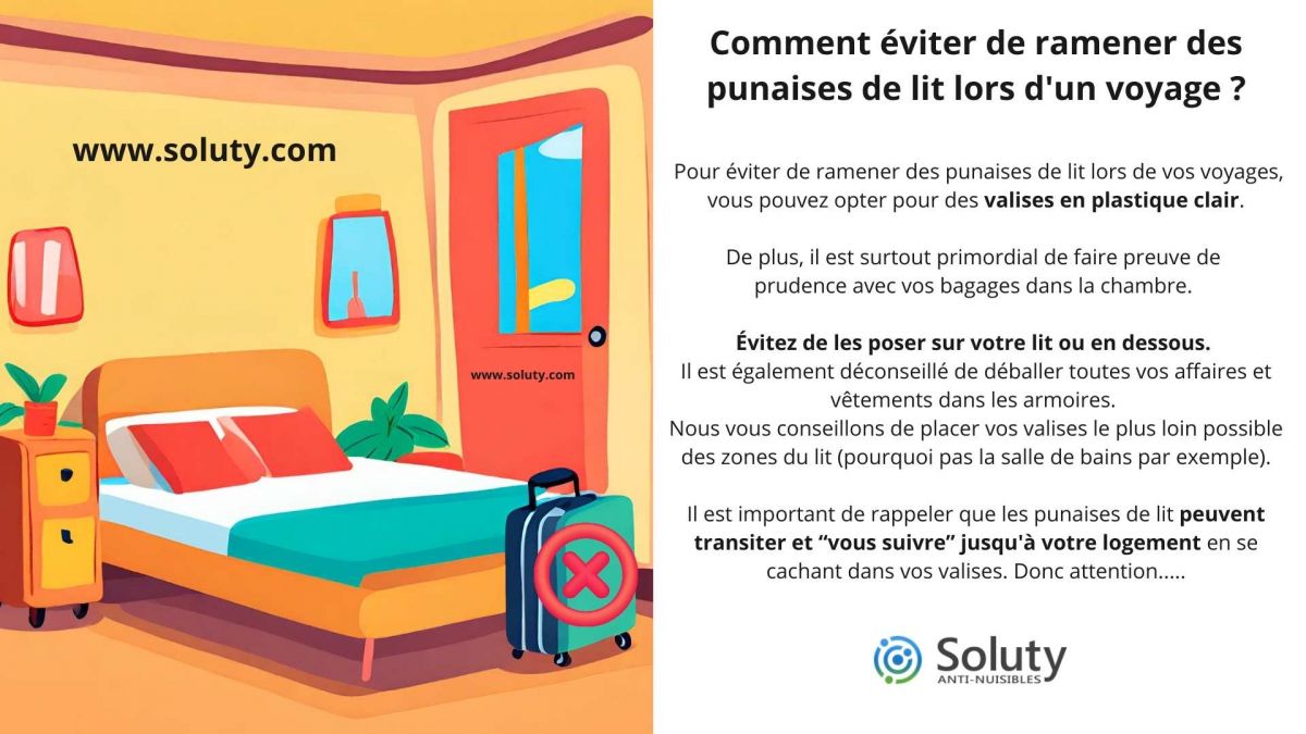 Comment éviter de ramener des punaises de lit lors d'un voyage ?