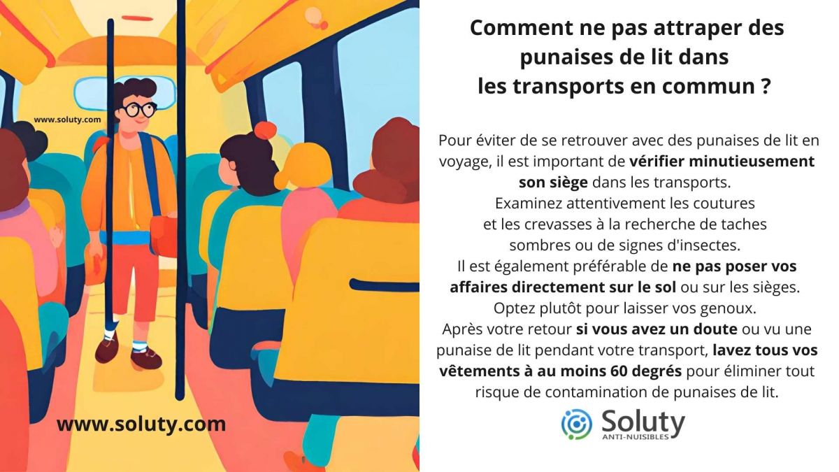 Comment ne pas attraper des punaises de lit dans les transports en commun ?