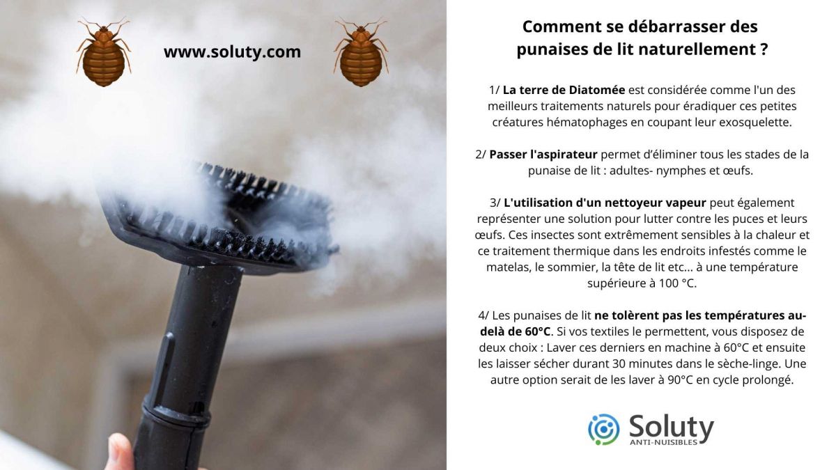 Nettoyeur Vapeur Traitement Punaise de Lit