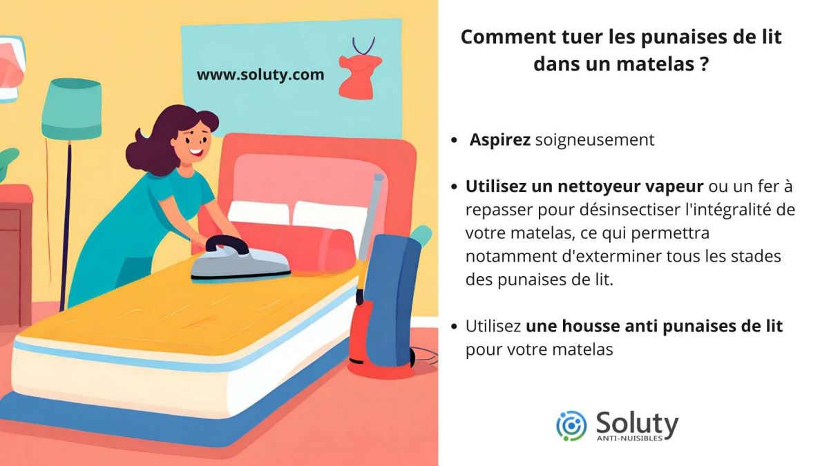 Comment tuer les punaises de lit dans un matelas ?