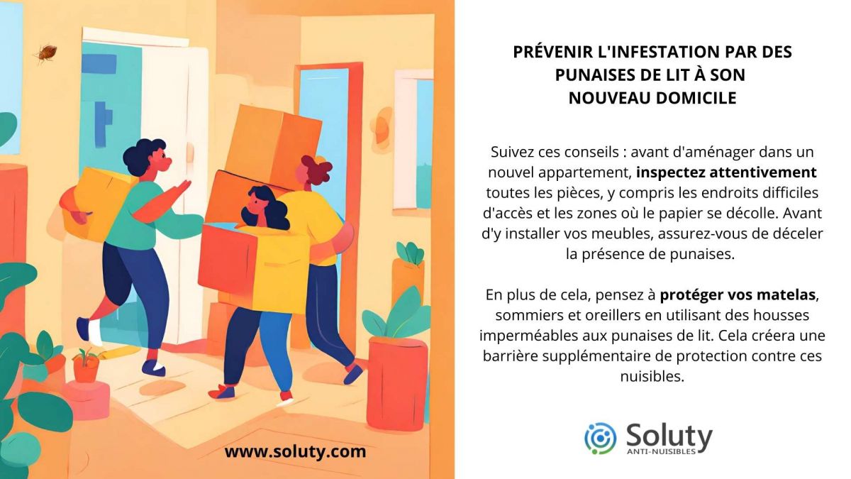 Comment prévenir une infestation de punaises de lit dans son nouveau logement ?