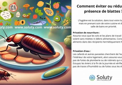 Comment eviter ou reduire la presence de blattes