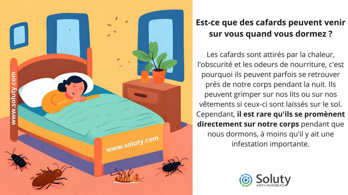 Est-ce que des cafards peuvent venir sur vous quand vous dormez ?