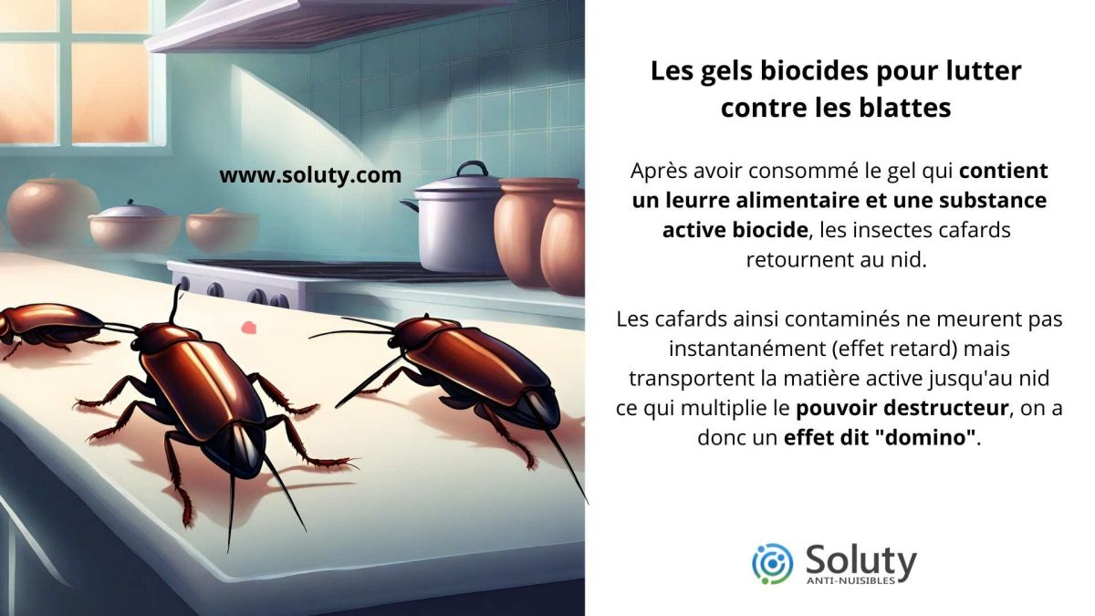 Les gels biocides anti cafards pour lutter contre les blattes