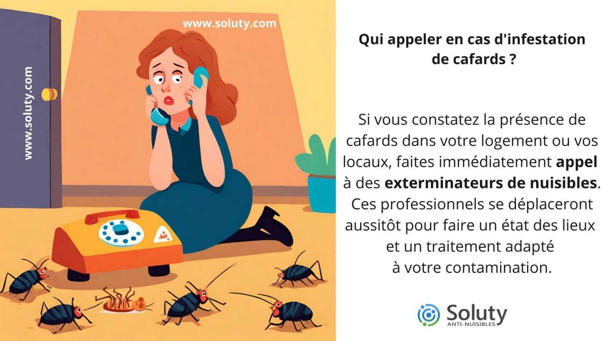 Qui contacter en cas d'infestation de blattes ?