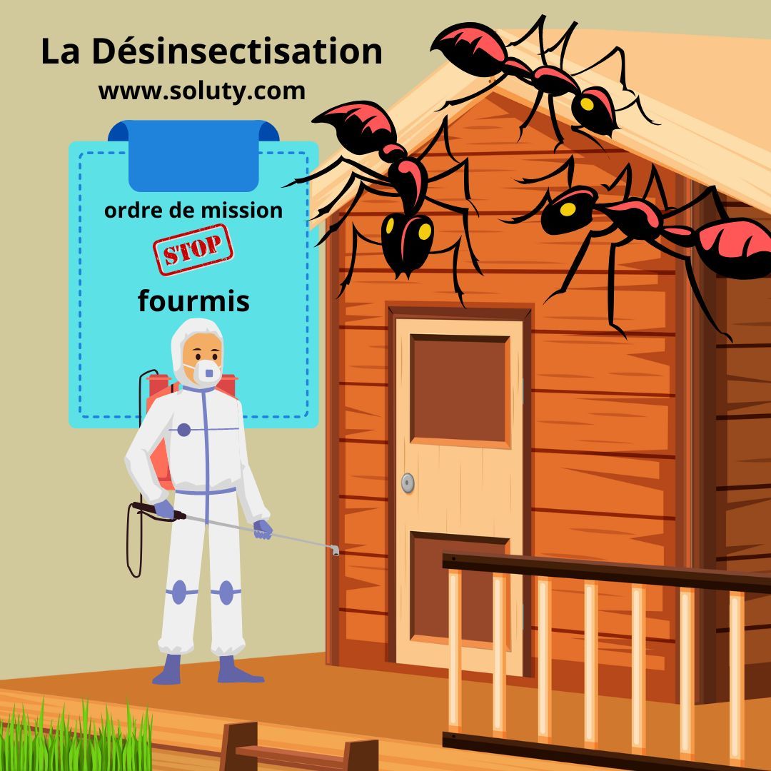 Désinsectisation et élimination des fourmis à Draguignan
