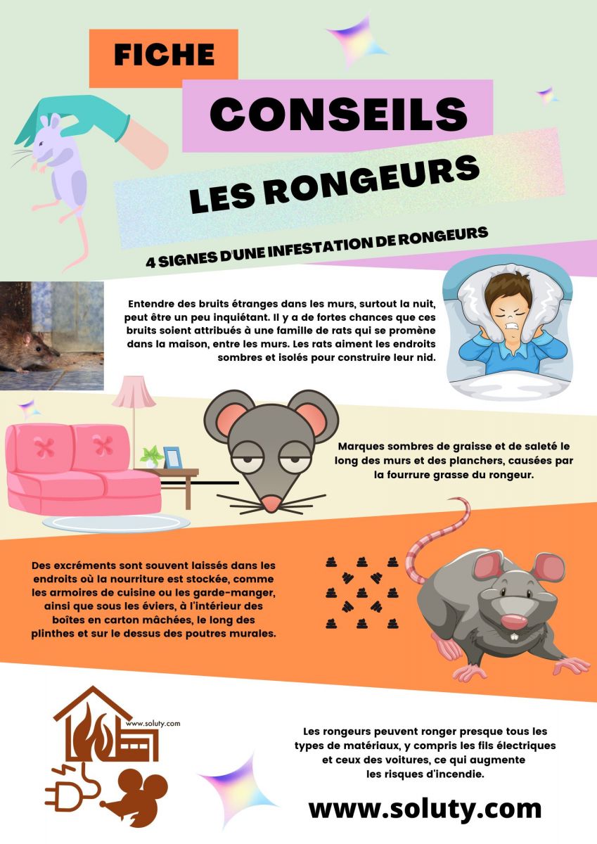 Quels sont les signes d'une infestation de rongeurs chez vous ?