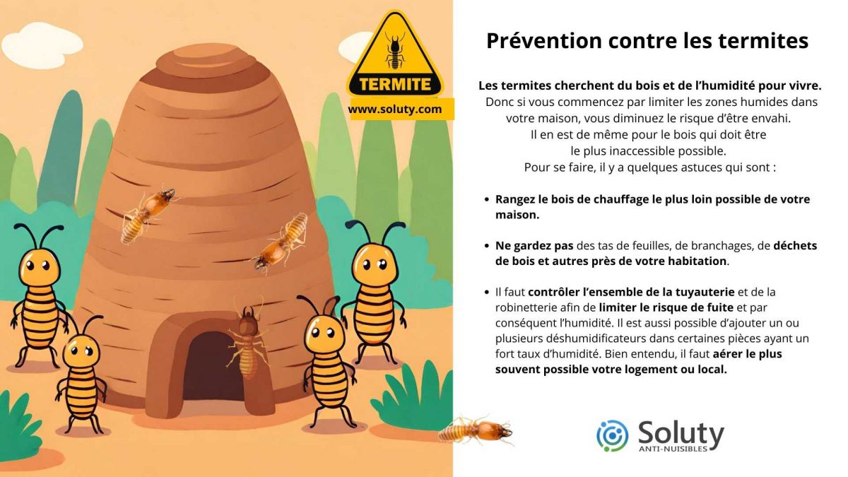 Prévention contre les termites